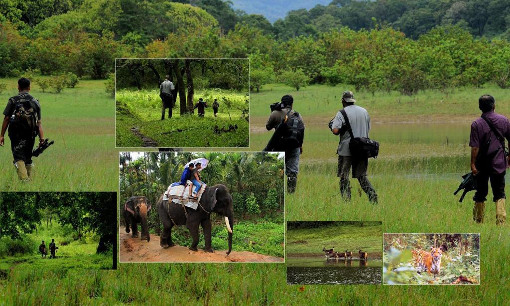 Jungle Park Resorts Thekkady Kültér fotó